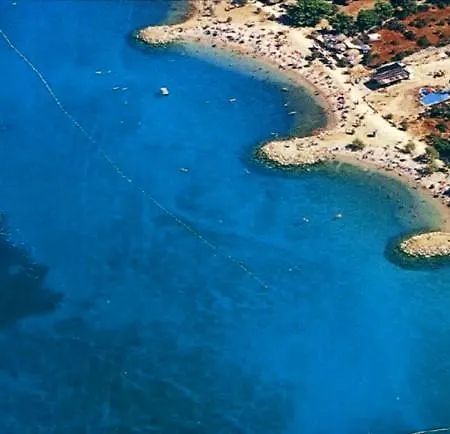 Punta