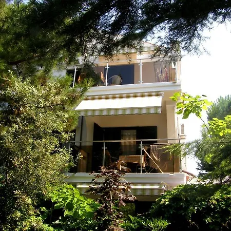 Punta